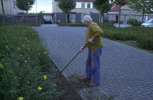 Team schoffelaars aan het werk