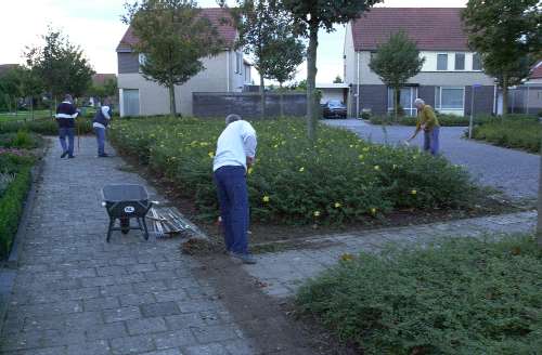 Team schoffelaars aan het werk