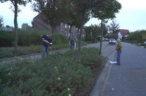 Team schoffelaars aan het werk
